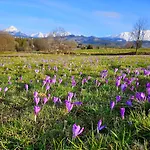 Jurta Na Wypasie - Luksusowy Namiot Z Widokiem Na Góry - Jacuzzi, Sauna, Split Ac, Private, Star View * Zakopane