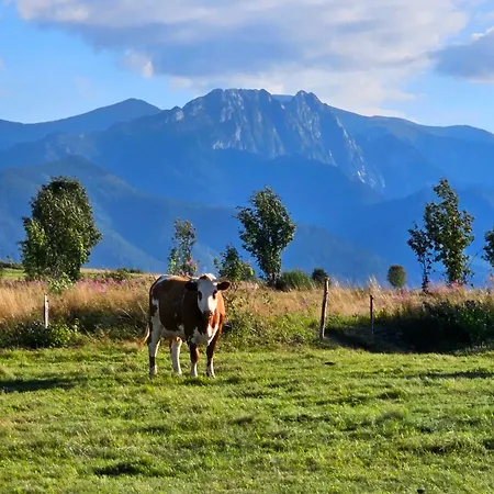 Prázdninový dům Jurta Na Wypasie - Luksusowy Namiot Z Widokiem Na Gory - Jacuzzi, Sauna, Split Ac, Private, Star View Zakopane