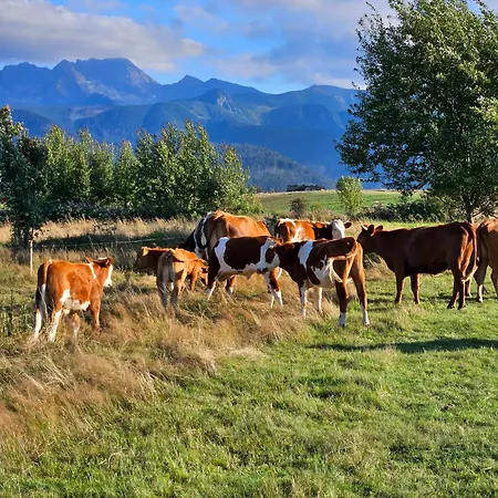 Tatil Evi Jurta Na Wypasie - Luksusowy Namiot Z Widokiem Na Gory - Jacuzzi, Sauna, Split Ac, Private, Star View Zakopane