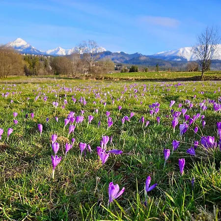 Jurta Na Wypasie - Luksusowy Namiot Z Widokiem Na Góry - Jacuzzi, Sauna, Split Ac, Private, Star View * Zakopane